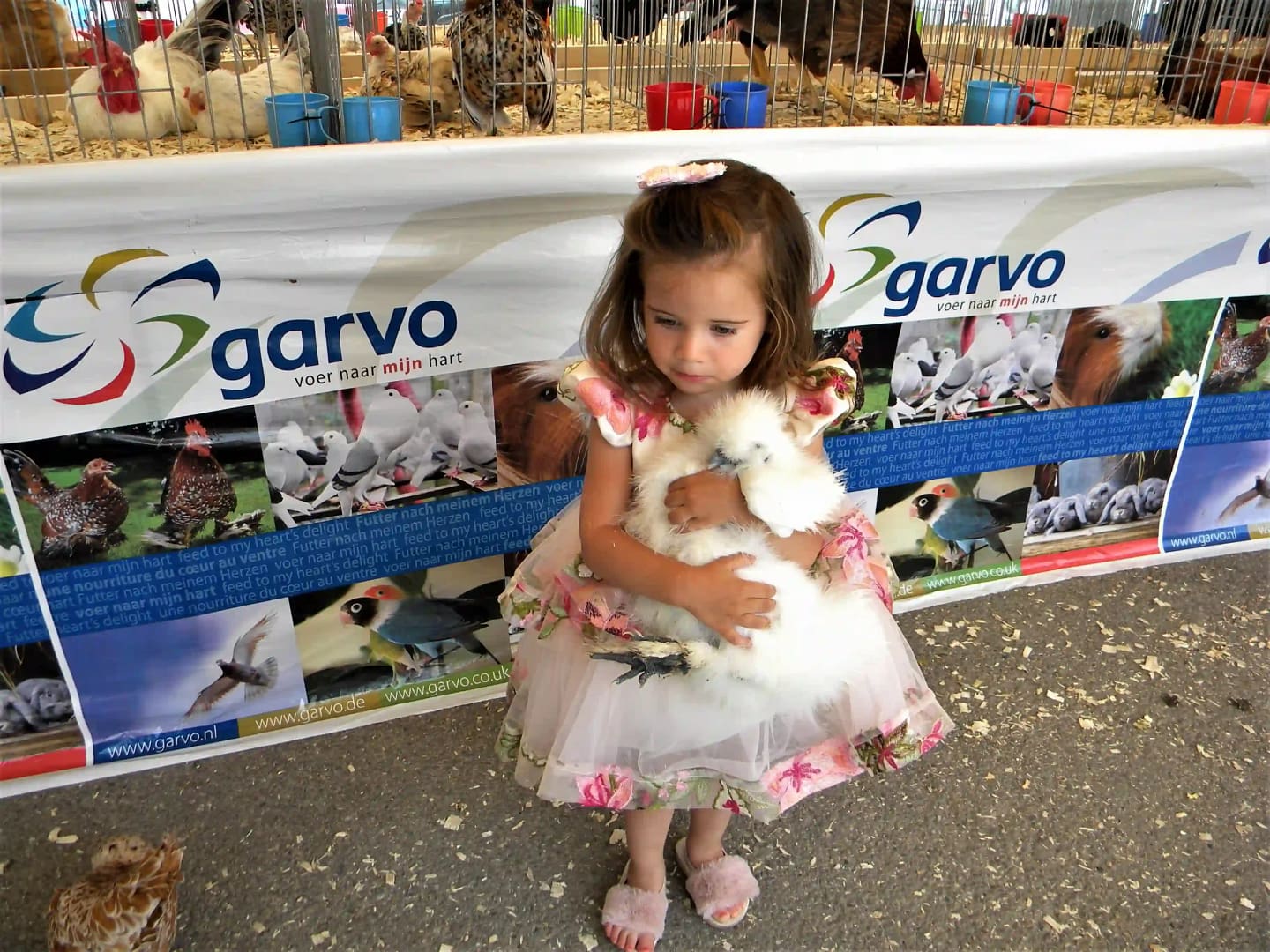 Family-friendly pet exhibition moment at ROMEXPO (example of the venue’s event atmosphere)