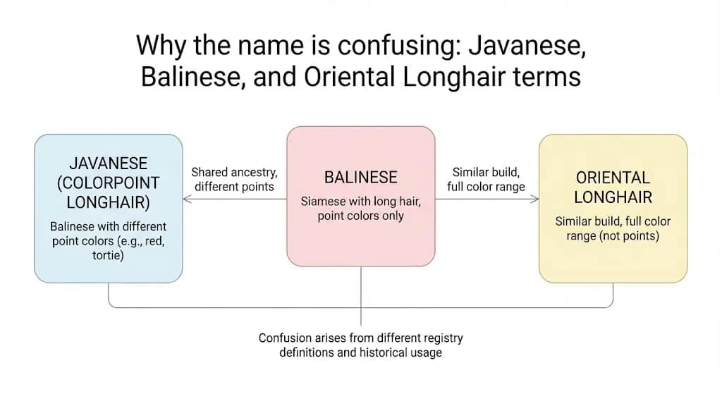 Javanese vs Balinese