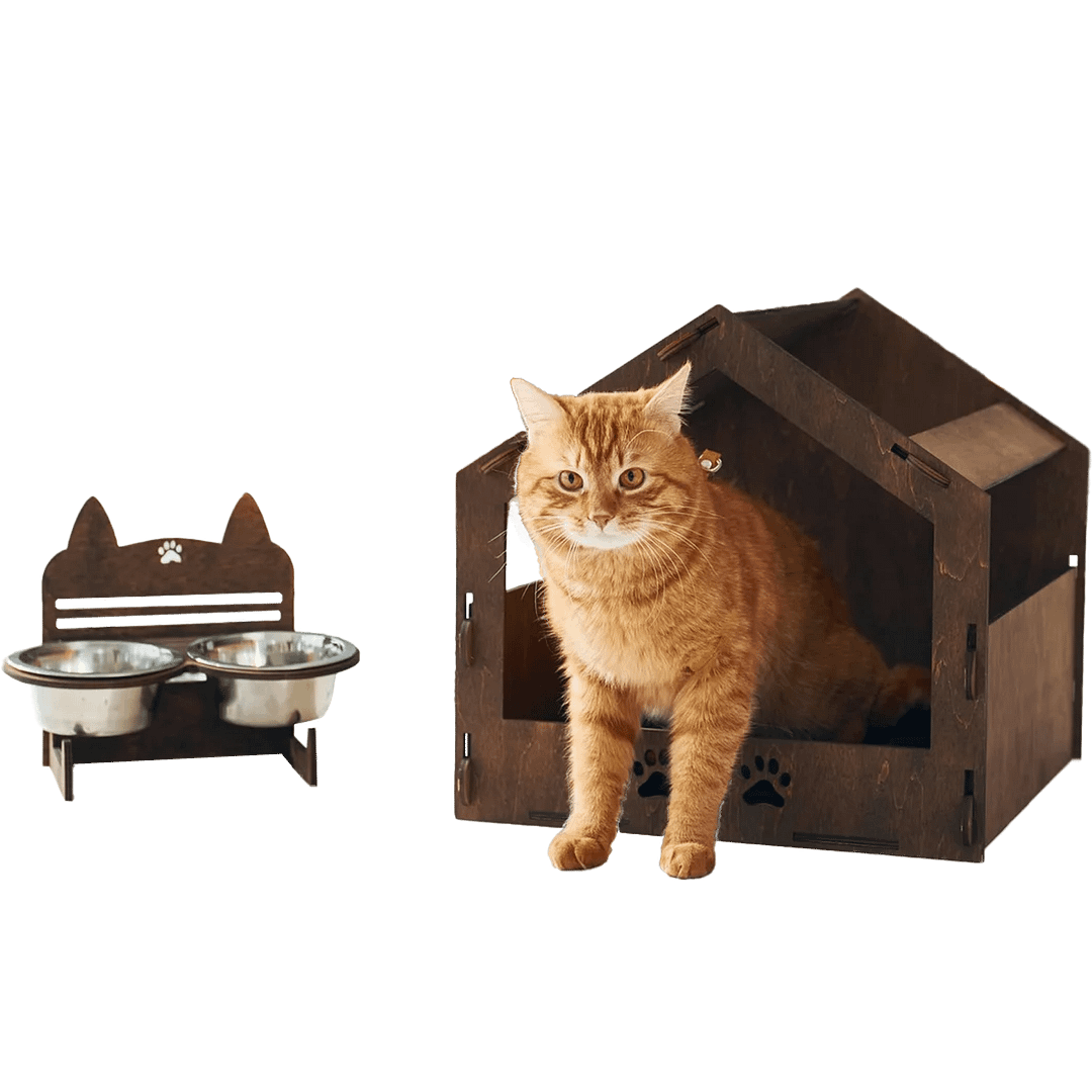 Cute cat is in pet booth that indoors in the modern domestic room