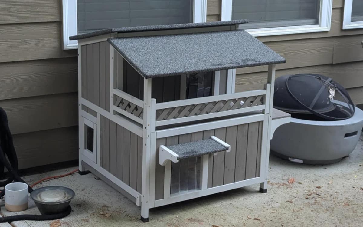 A home fit for a community cat
