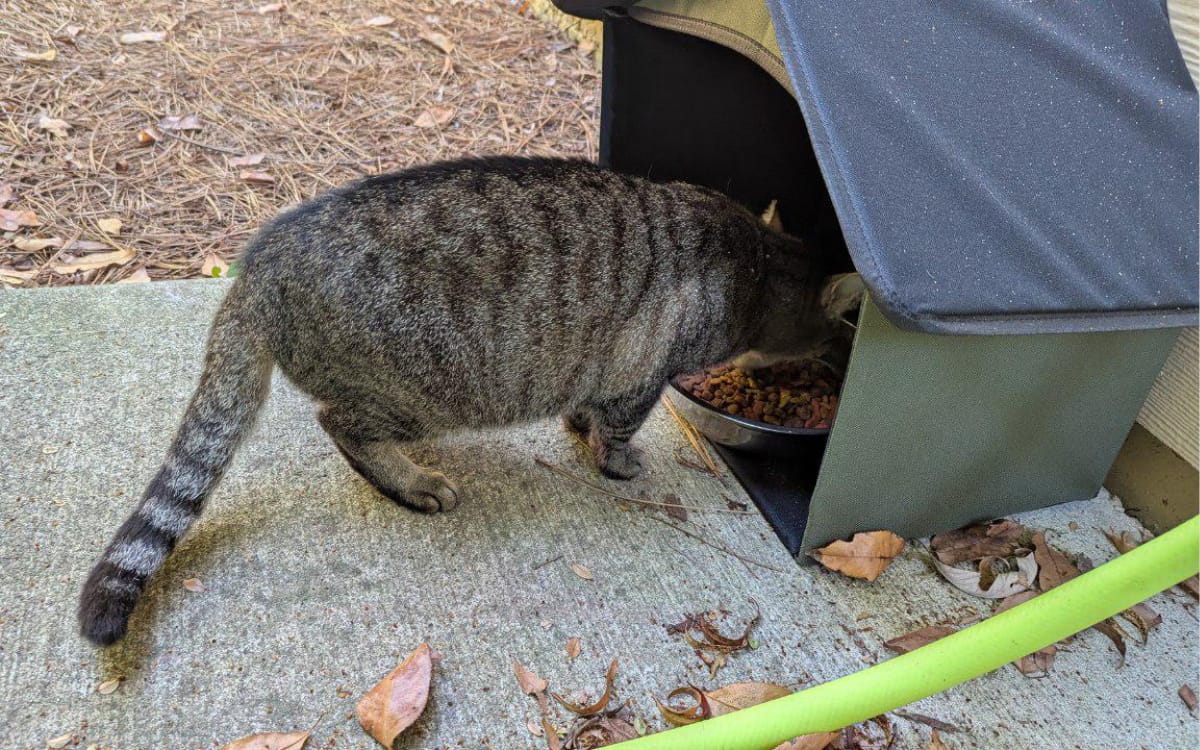 Joy enjoying some food