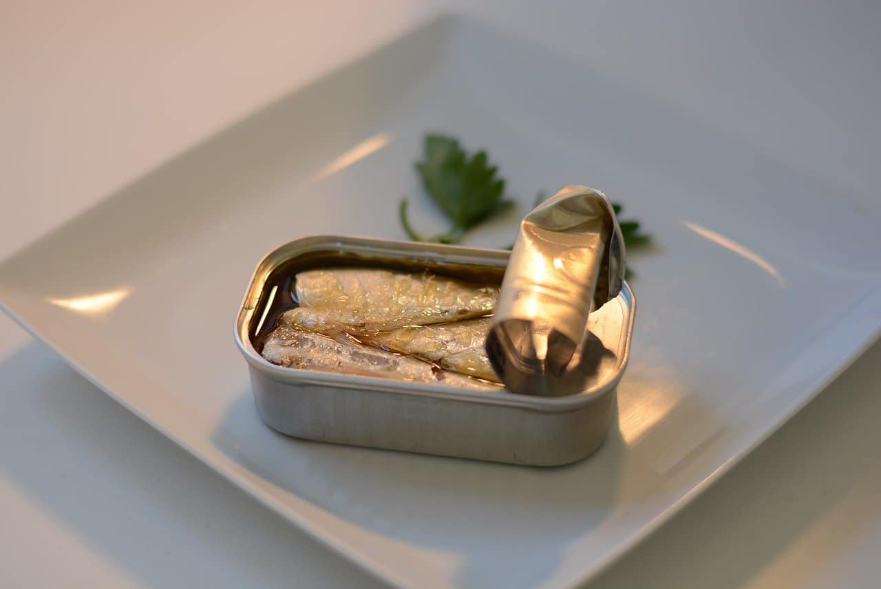 sardines, can, food, fish, power, nature, canned, oil