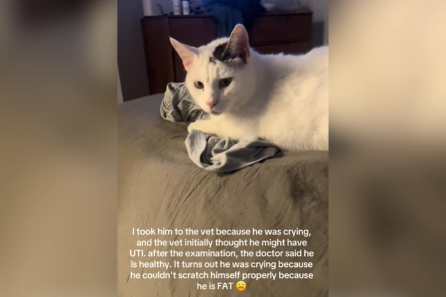 A screenshot from the viral video that revealed what happened at the unusual vet appointment.