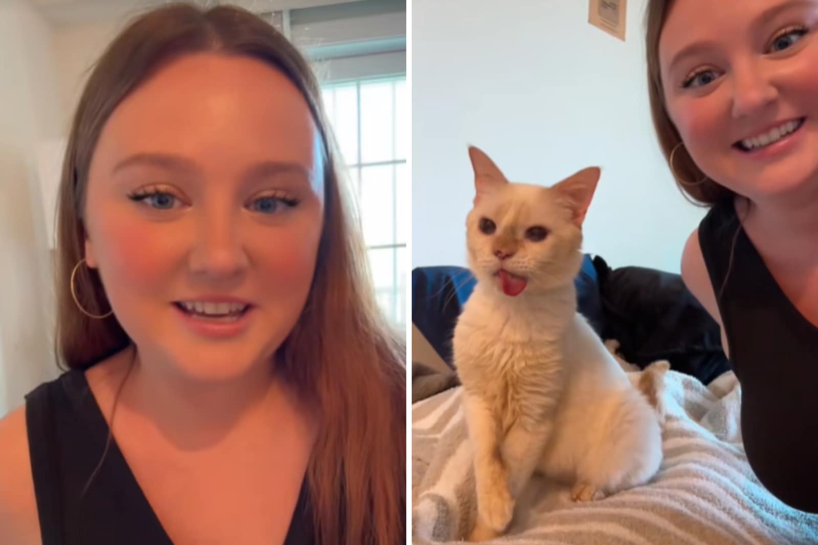 Lily Holmes introduces her new cat, Gumbo