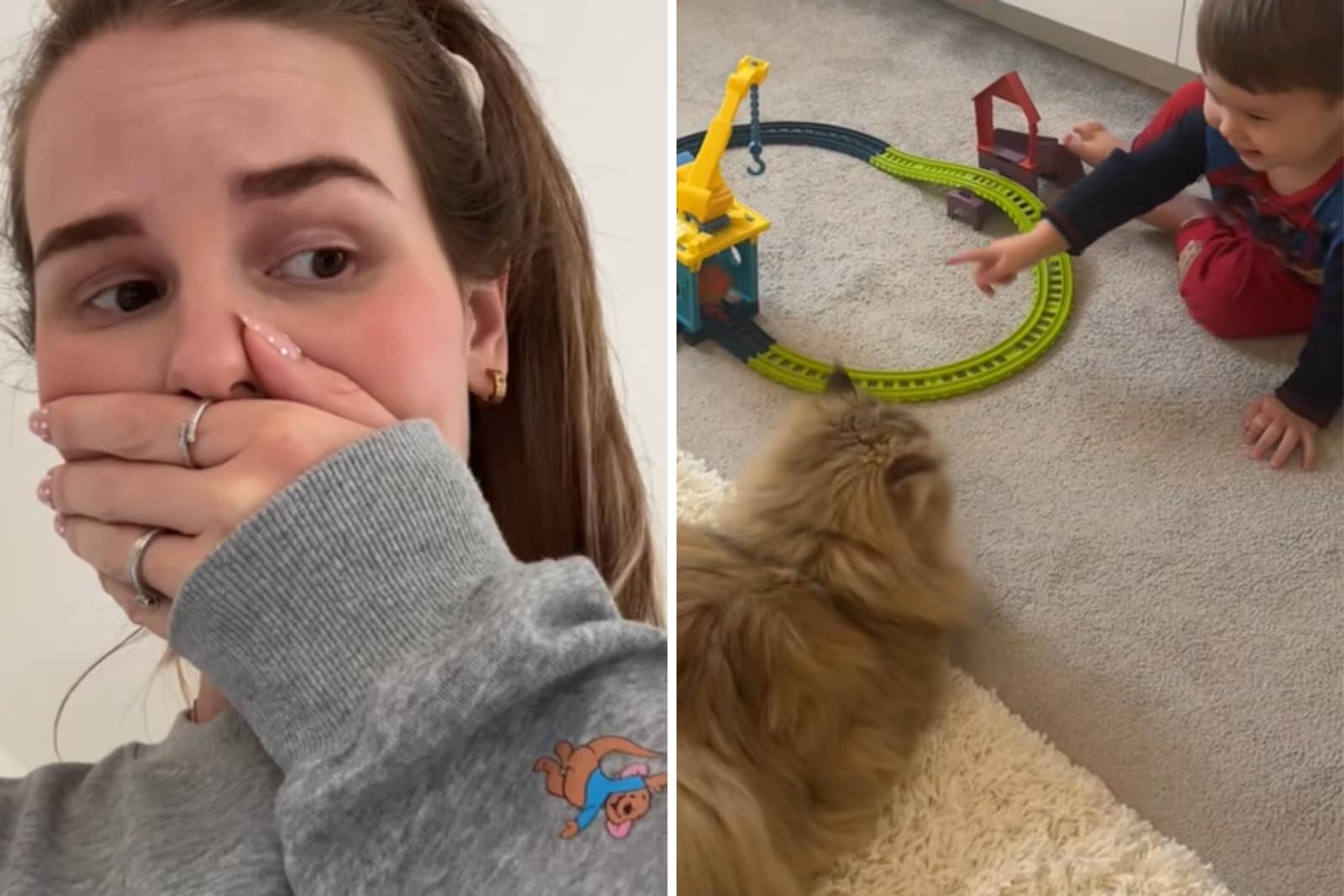 Mom Chelsea clasping a hand over her mouth; Kingston the Persian chinchilla cat with Chelsea & 1-year-old son as he shows him his new train set