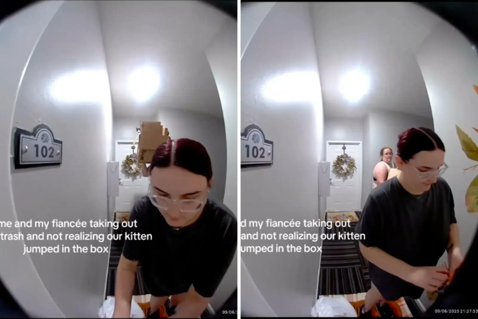 Screenshots aus einem TikTok-Video vom 6. September, in dem ein Paar den Müll rausbringt, ohne zu bemerken, dass sich seine Katze in die Box geschlichen hat