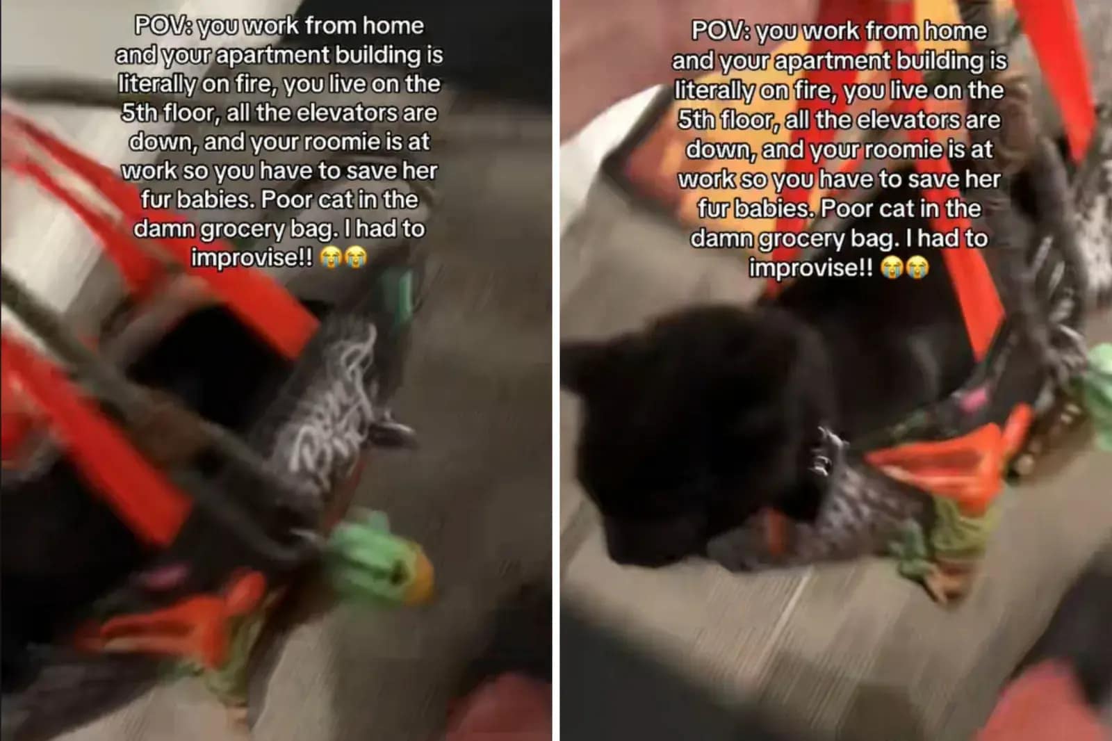 Screenshots from a September 25 TikTok video of a man evacuating with his roommate's pets during a fire down the hall