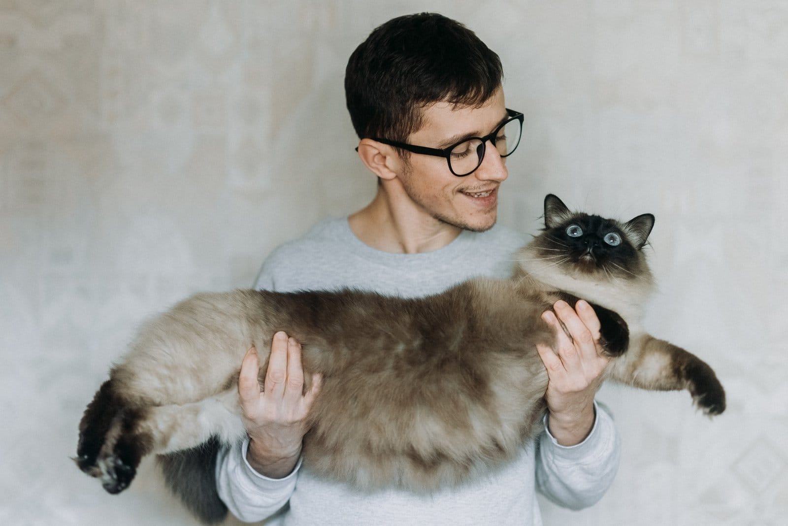 Boy holding in his arms a gigantic balinese cat