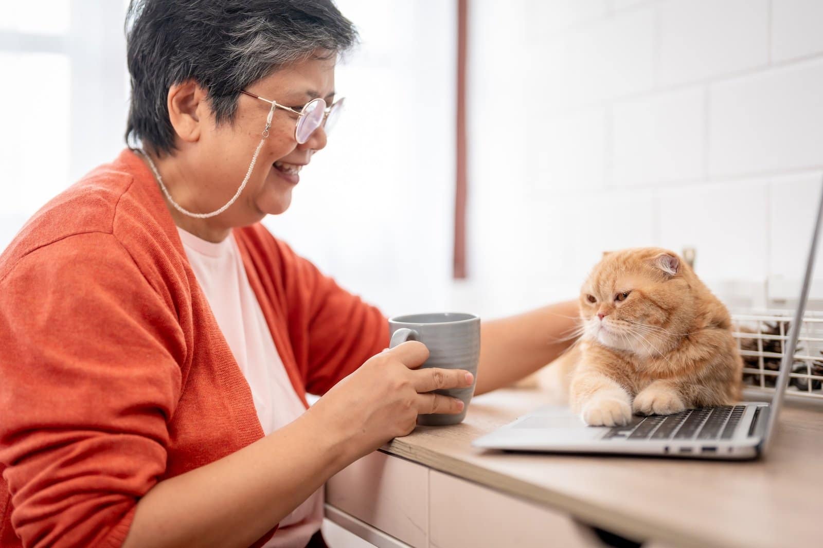 Asian senior woman stroking and playing with domestic cat in house.