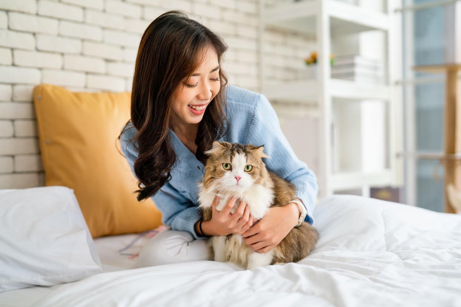 Pretty Asian woman hug cat and sit on bed with happy emotion while cat look at camera