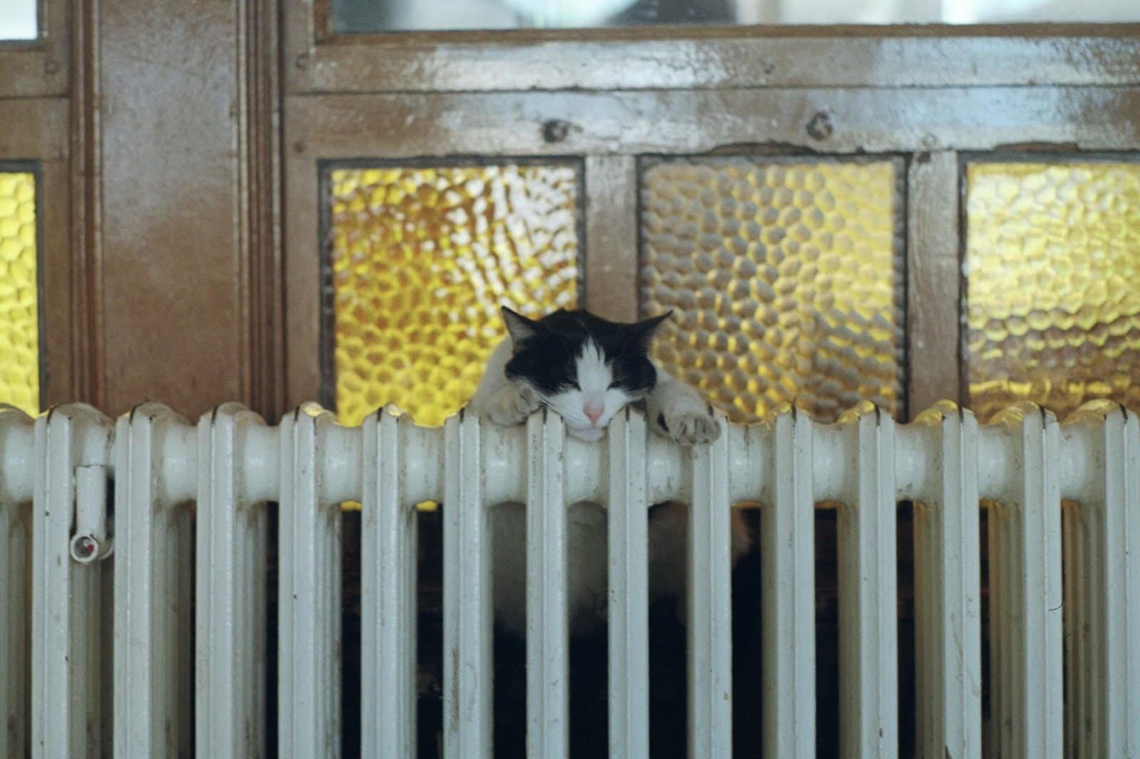 A black and white cat peacefully sleeping on a radiator in front of a textured window.