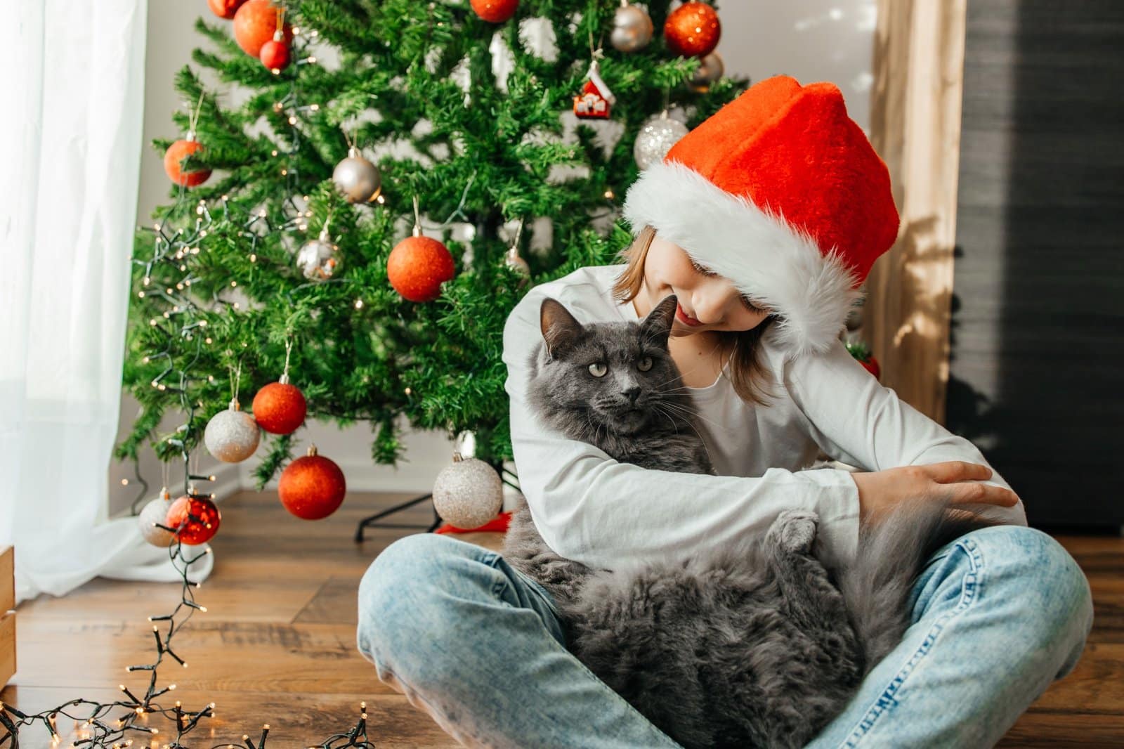 A girl in a santa claus hat hugs her gray cat on the eve of Christmas next to the Christmas tree.