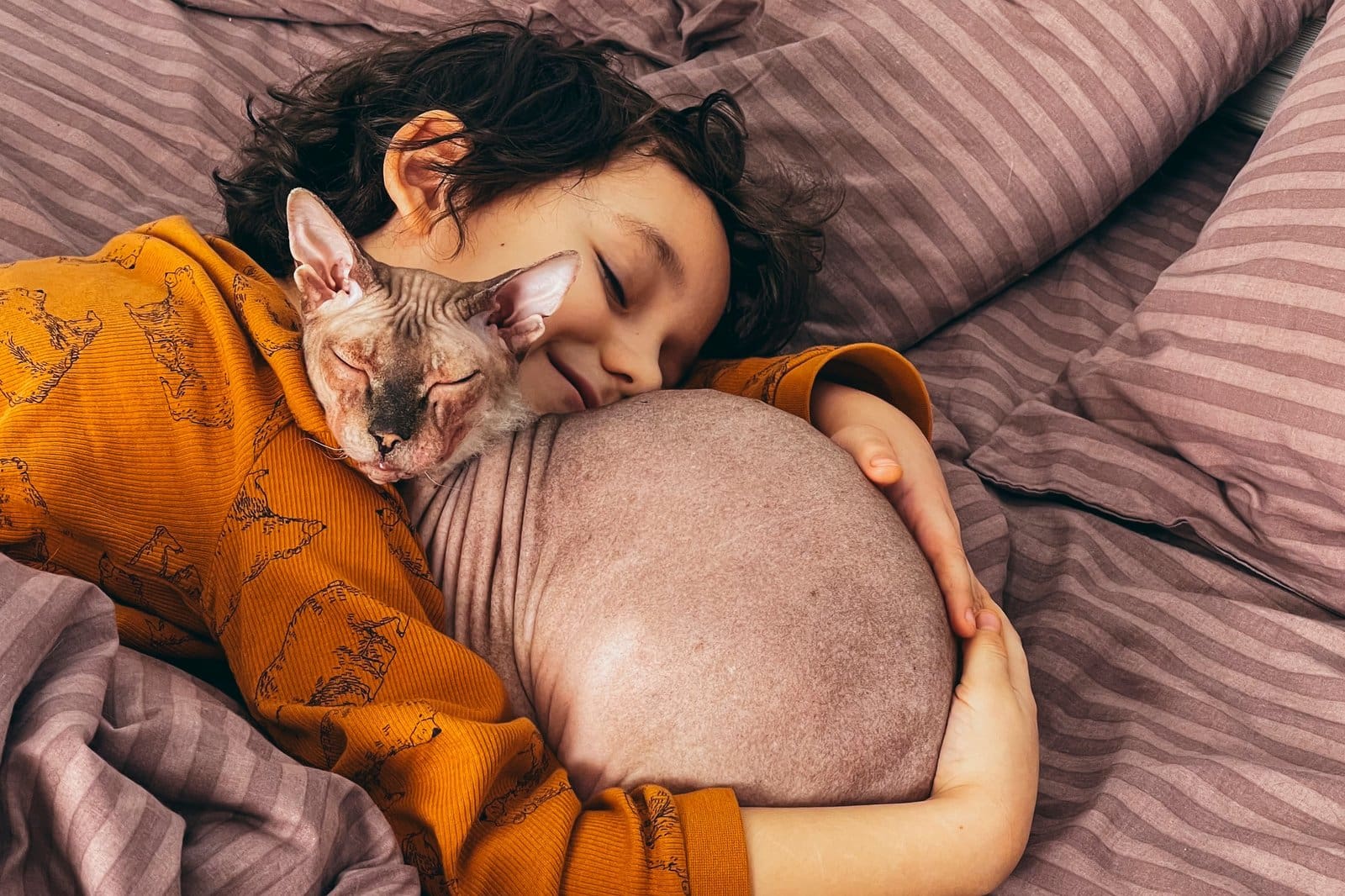 A young child sleeps peacefully, embracing a hairless sphynx cat