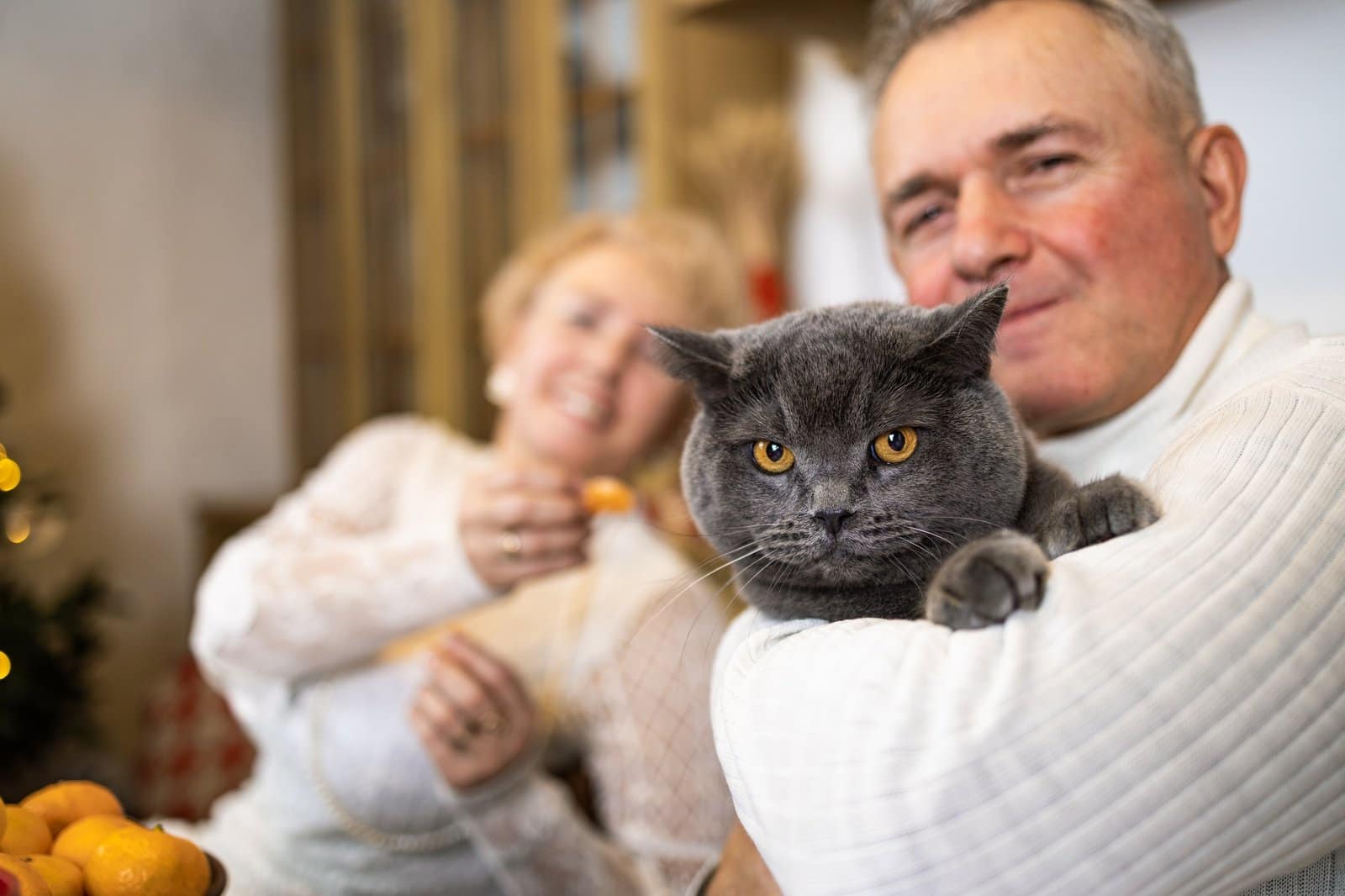 Happy senior couple with cat resting in kitchen together during Christmas holidays.