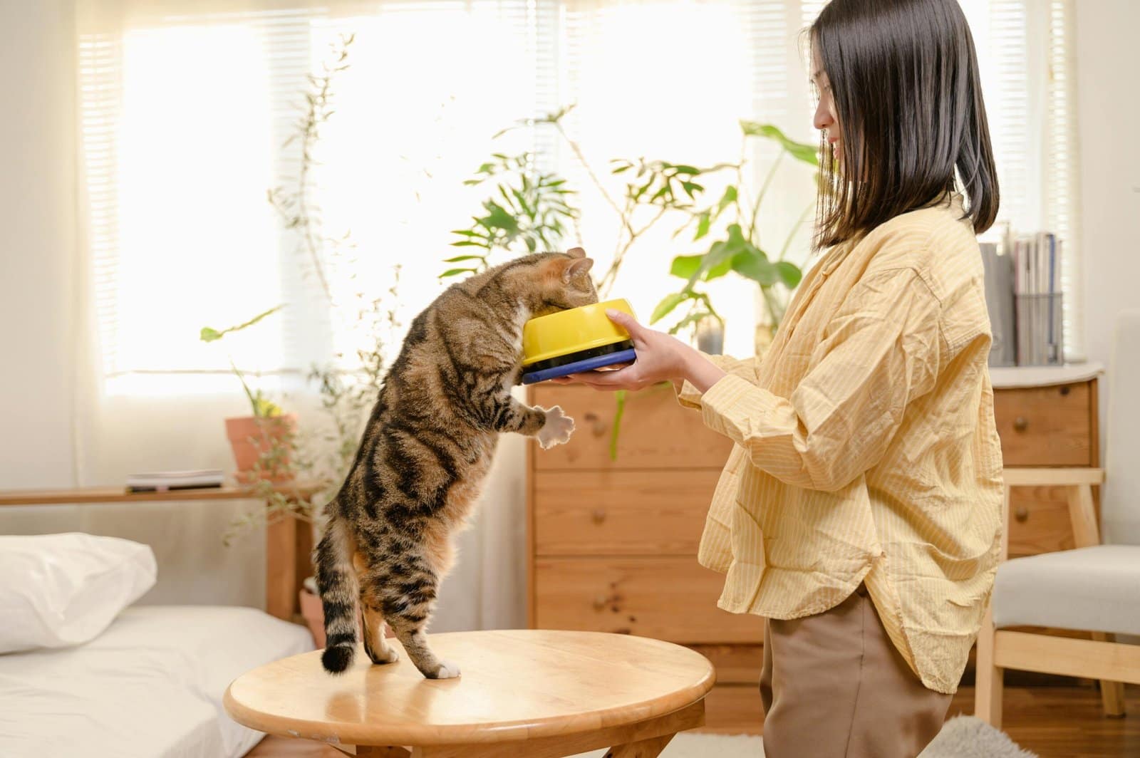 A woman holds a bowl for her curious cat in a cozy indoor setting, capturing a moment of affection and bonding.