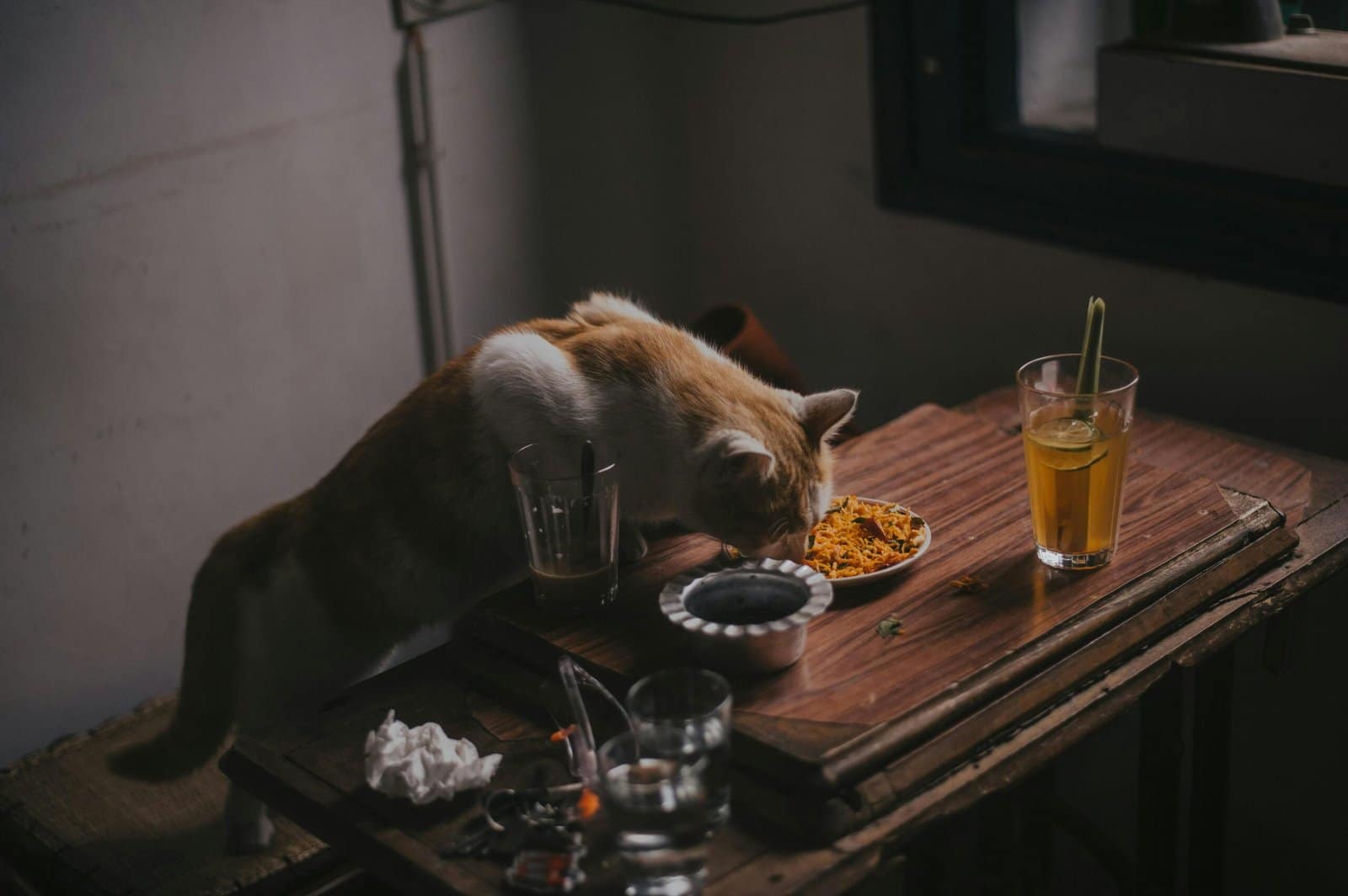 A domestic cat enjoys a meal on a rustic wooden table with drinks in a cozy room.
