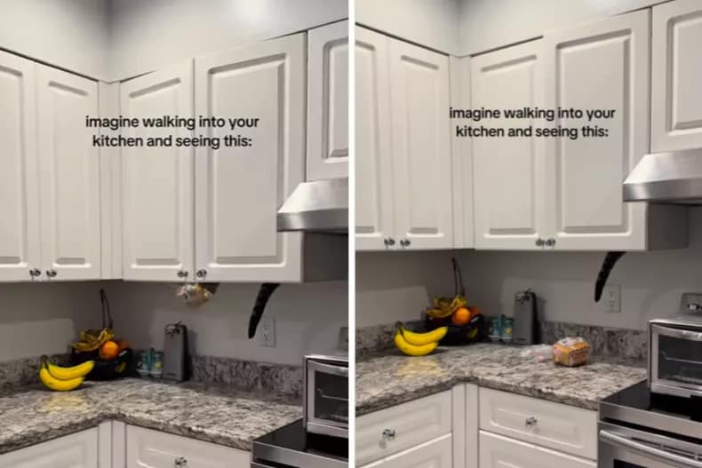 From left: Loki catches the bread; before letting it fall onto the counter