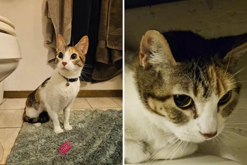 Signe en su nuevo hogar