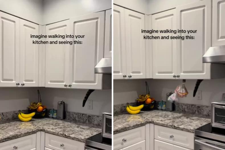 From left: Loki goes in the kitchen cupboard, stealing bread