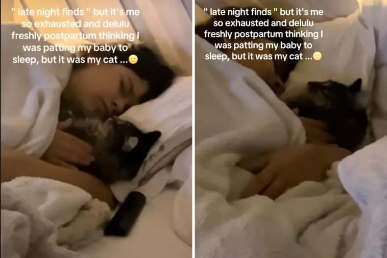 Screenshots aus einem TikTok-Video vom 23. August, in dem die Mutter ihre Katze im Schlaf streichelt, weil sie dachte, es sei ihr Neugeborenes.