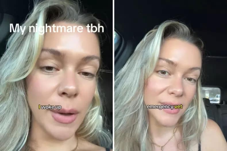 Fotos aus dem TikTok-Video von Harley Gusman, in dem sie den Gesundheitsnotfall ihrer Katze erklärt