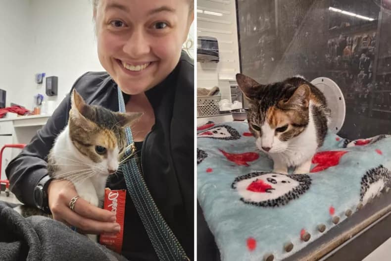 Signe con Hannah, y a la derecha, en la tienda