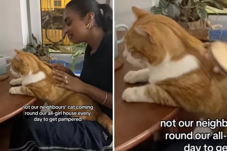 Ein geteiltes Bild, das zeigt, wie Giles von Bil-Marjiyah zurechtgemacht wird