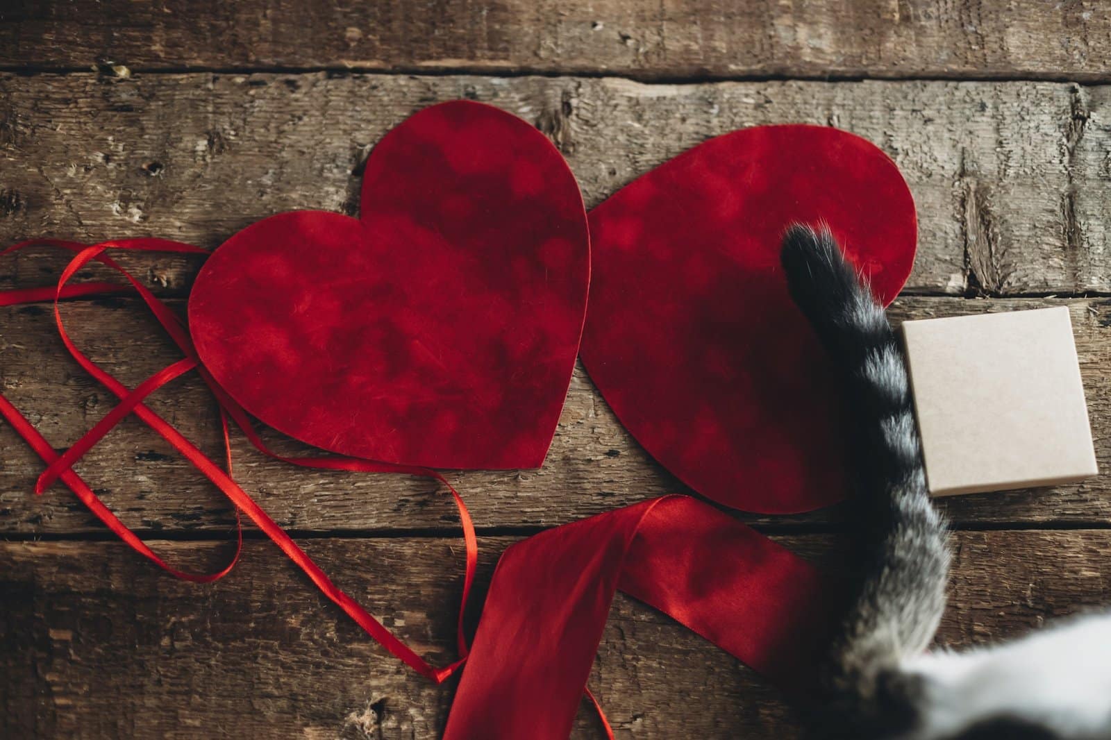 Happy Valentines day. Cute cat tail on red velvet hearts, ribbon and gift box on rustic wood. Love