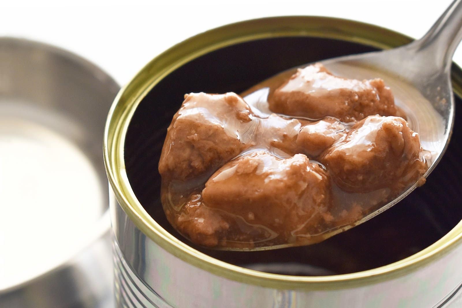 Wet cat food in gravy on a spoon.