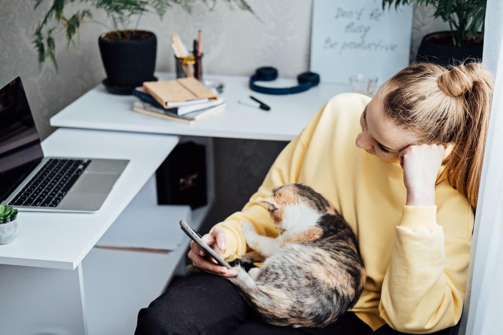 Woman freelance or procrastinate at workplace at home office. Self-employed businesswoman with cat